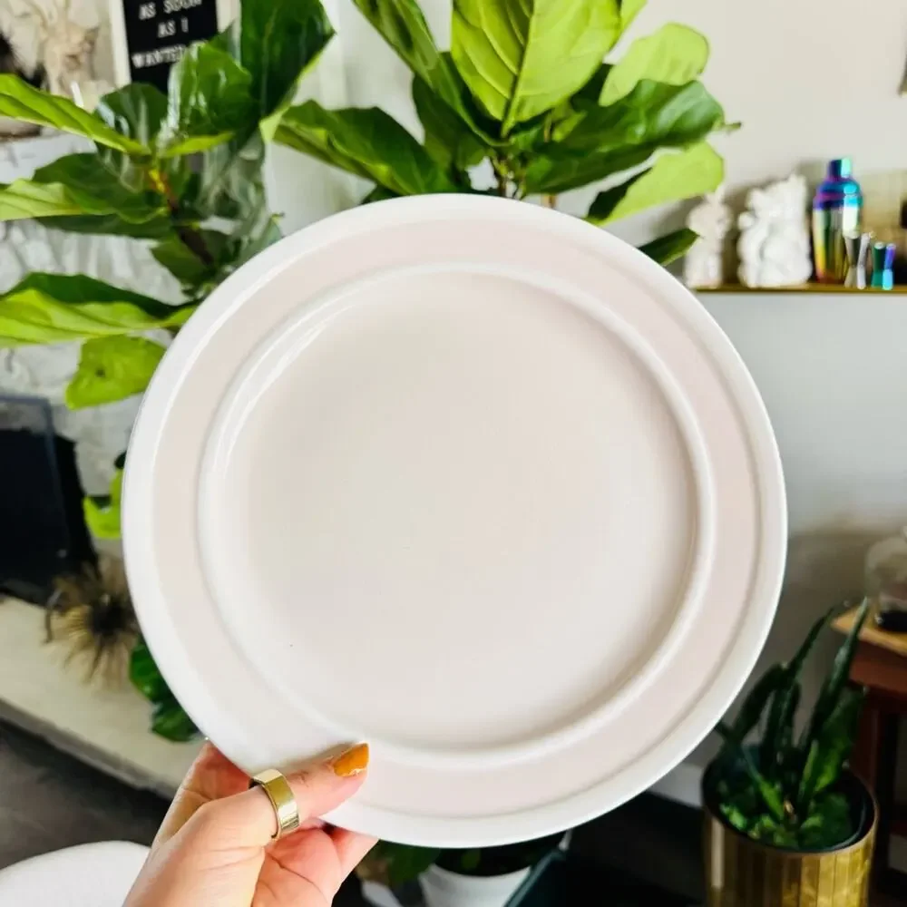 4 KATE SPADE LENOX Blush Pink Tan Sculpt Stripe Ceramic Gloss Dinner Plates Set